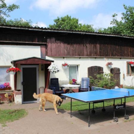 Heidi Apartment Zinnowitz Exterior photo